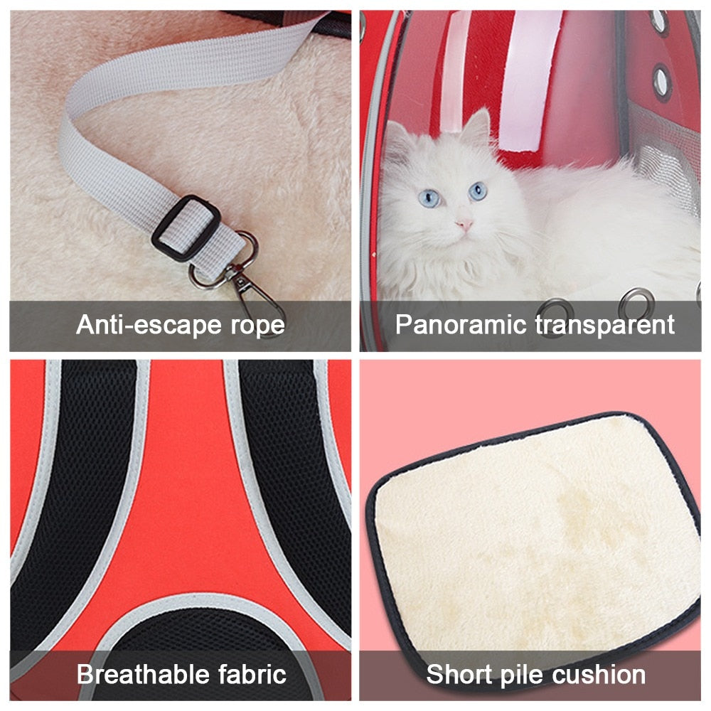 Transparent Pet Carrier Travel Bag For Cat