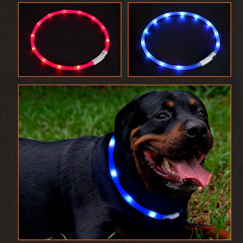 USB Charging Night Safety Flashing Pet Dog Collar Necklace